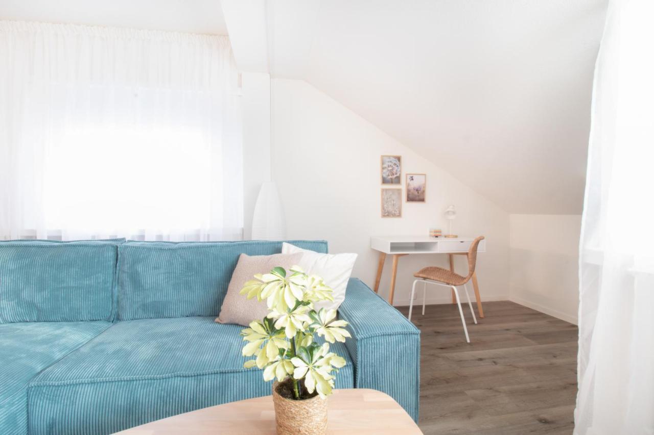 Loewe Apartment Blau Нойхаузен-ам-Райнфалль Экстерьер фото